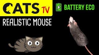 CATS TV - Realistic Mouse  Battery ECO - 3 HOURS - 60fps (Game for cats to watch)