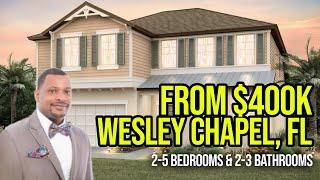 Epperson Wesley Chapel Florida Lagoon Homes For Sale