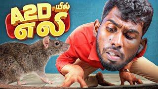 பொறி வெச்சா எலி விழனும்  - Rat Hunt at A2D Office 