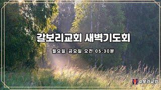 갈보리교회(자양동) 2025.3.4(화)