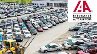 IAA Auto Auction-Live Stream