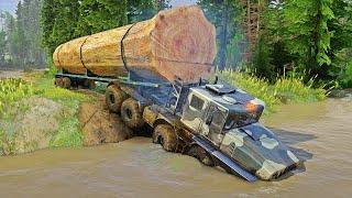 You Won't Believe the Skills of This Logging Truck Driver