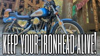 How To Keep An Ironhead Sportster Alive: Maintenance Nobody Talks About