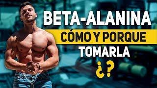 Para qué sirve la BETA-ALANINA  (¡Y CÓMO y CUÁNDO tomarla!) | The Fit Club