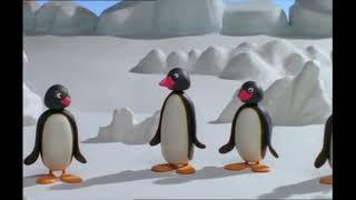 All the penguin facts with professor Pingu