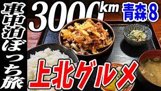 【3000km車中泊ぼっち旅】上北名物バラ焼き！ぼっちのグルメ？北東北3県（岩手・秋田・青森）道の駅全部巡る旅！11日目青森8