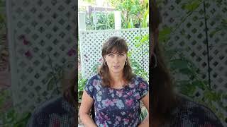 как правильно пить лечебные грибы