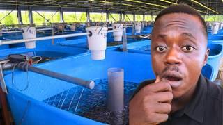 INSIDE a SUCCESSFUL Fish Farm in Lagos Nigeria | sejfarms