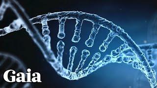 The Human Genome Project Patented Our Genes