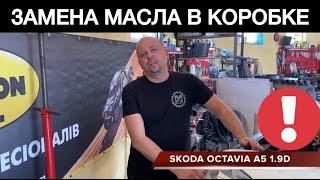 Как правильно заменить масло в коробке Skoda Octavia A5 1.9 дизель | Замена масла в МКПП Октавия А5