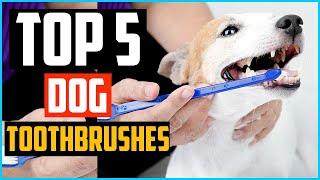 Top 5 Best Dog Toothbrushes Review in 2024