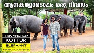 Kottur Kappukadu Elephant Rehabilitation Centre | Neyyar Dam | Places to Visit in Trivandrum