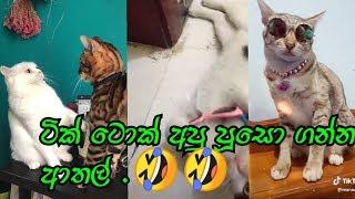 tik tok srinlanka funny videos