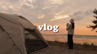 sub) First camping vlog | Is everything delicious at the camping? | Walking on the Beach with puppy