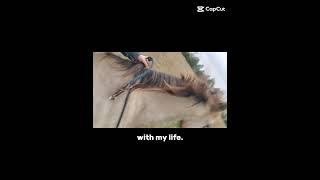 With my life  #horses #equestrian #buckskin