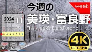 [Biei/Furano this week] First real snow of the season! Week  of November 2024