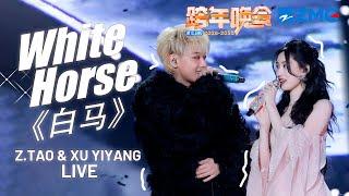 Z.TAO & Xu Yiyang Perform 'White Horse' LIVE | 2024-2025 Zhejiang TV New Year's Eve Gala