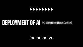 AI and IoT-Enabled Hydroponic Farming: Findings from a Rural Deployment in South Africa