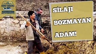 Silajı Bozmayan Adam! #Silaj