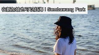【新加坡赶海1.0】在新加坡也可以赶海吗？ | Sembawang Park | 抓螃蟹 | 疫情下的新加坡