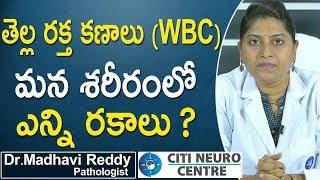 Doctor Tips | White Blood Cells (WBC) | Different Typa of WBC in our Boby