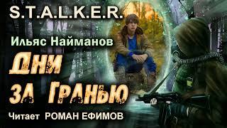 S.T.A.L.K.E.R. Дни за Гранью (аудиокнига). БОЕВАЯ ФАНТАСТИКА. Ильяс Найманов. Читает Роман Ефимов.