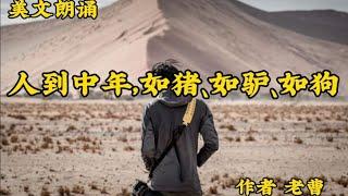 美文诵读《人到中年，如猪、如驴、如狗》换一种方式继续保持骄傲