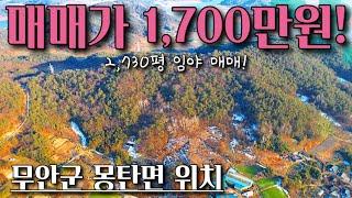 [전남임야매매] 매물번호#305 2,730평 임야 매매! 무안군 몽탄면 임야 촌땅 시골땅 토지 매매