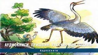 Аудиокниги. Пришвин. Рассказ Моя родина