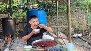 Ăn Thau Tiết Canh Lớn | Farm Hoa Ban Tây Bắc