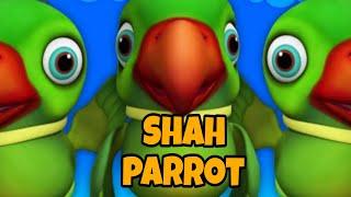 मिट्ठू गेहूं कह रहा है  | Mithu Mithu  #parrotlover #parrotsong #viralvideo #kundanshah