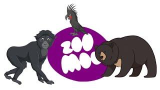 ZOOMOO SPECIALS| BLACK ANIMALS |