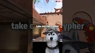 How to win any 1v1 with Cypher #valorant #cypher #acrethedog