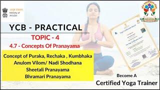 YCB Practical Exam Course | Puraka, Rechaka, Kumbhaka & Pranayama Practice| YogAurora