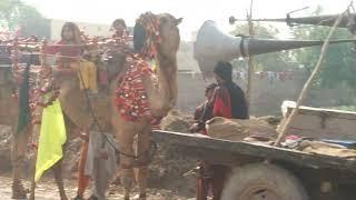 Ramzan Qasim Fans/Jamat Baba Muhammad panah Kambir sharif sahiwal Mela