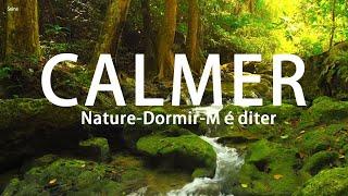 Musique Relaxante Pour Calmer L'esprit  Sons de la Nature - Dormir, Méditer