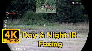 4K FOXING DAY & NIGHT