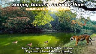 Sanjay Gandhi National Park is NOT What You THINK | Complete SGNP Guide 2024 |Borivali National Park