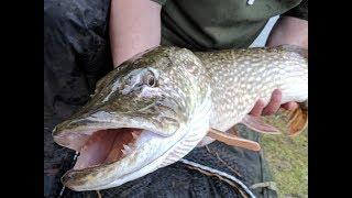 Bunce and King Fishing at Charlton Lakes for big Pike March 2018