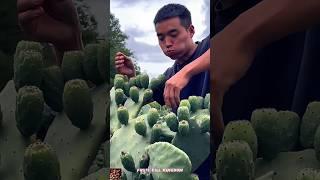 Satisfying Prickly Pear Cactus Fruit ASMR  | Unique Food Cutting & Eating, Sounds” #short #viral