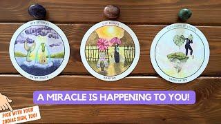 A Miracle is Happening to You! | Timeless Reading