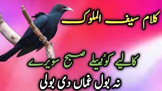 kalam Saif ul malook Mian muhammad bakhsh// New heart touching kalam 2021