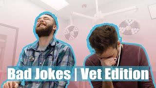 Bad Dad Jokes | You Laugh You Lose | Veterinary Edition