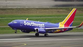 Southwest Boeing 737-800 taking off