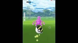 Shiny heracross 100 iv pokemongo