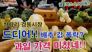 "경동시장" 배추 과일 값 폭락!! 싸도 너무 싸다~단감 10개 1,000원? 배추 한통 3000원? 쪽파 1단 2,000원 가격 실화?김장 전 꼭 보세요~!