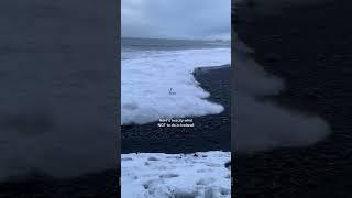 Please don’t ignore the warnings at Reynisfjara black sand beach ️   #iceland #icelandtravel