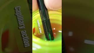 How a fountain pen feed works - capillary action!