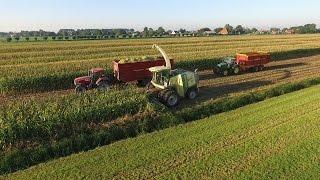 Corn Silage -- mts Buisman