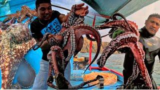 ¡Hombre vs Pulpo! Miren como CAPTURAMOS y Cocinamos estos PULPOS Gigantes